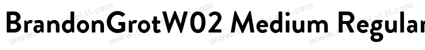 BrandonGrotW02 Medium Regular字体转换